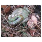 Entire content of garden shed inclu...