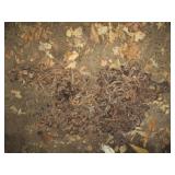 Set of heavy duty tire chains...