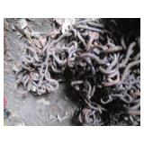 Set of heavy duty tire chains...