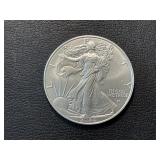 2024 Silver Eagle