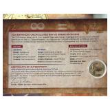 2019 Dollar Coin and Currency Set