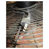 DAYTON WALL MOUNT FANS