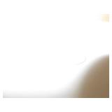 KOHLER LAVATORY SINK