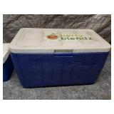 Set of 2 Coolers - Large and Small with Berry Blendz Branding