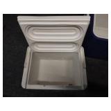 Set of 2 Coolers - Large and Small with Berry Blendz Branding