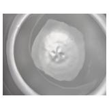 Stunning Thai Porcelain Benjarong Covered Bowl