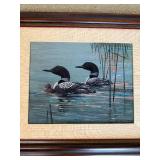 Awesome Fine Art Naturalist Loon Print - Lysaker