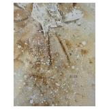 Dreamlike Native American Fine Art Print - He Was Faintly Golden