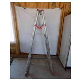 Telesteps Ladder -Type II