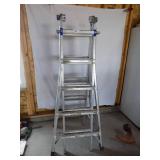 Werner Ladder 21