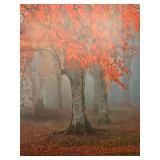 Large Framed Landscape Artwork Depicting Autumn Scene