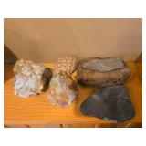 Vintage Wooden Duck, Antique Bottle, and Minnesota License Plate Collection