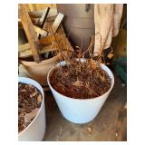 Collection of Gardening Pots and Tools with Decorative Urns