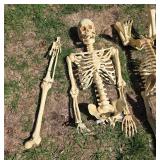 Collection of Halloween Decor: Skeletons and Skull Decorations