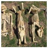 Collection of Halloween Decor: Skeletons and Skull Decorations