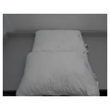 Sealy Set of 2 Queen Standard Pillows