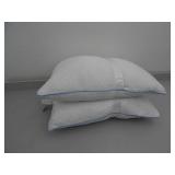 Pair Queen Standard Memory Foam Pillows