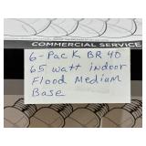6 Pack BR40 Flood Lights