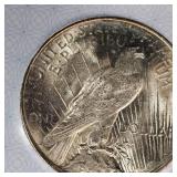 1922 BU Peace $1  AACGS MS62