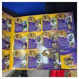 2006 Vikings Pin Set Collection