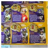 2006 Vikings Pin Set Collection