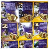 2006 Vikings Pin Set Collection