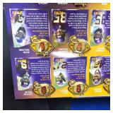 2006 Vikings Pin Set Collection