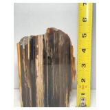 Stunning petrified wood specimen