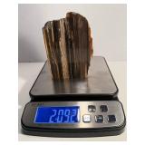 Stunning petrified wood specimen