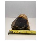 Stunning petrified wood specimen