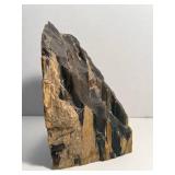 Stunning petrified wood specimen