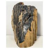 Stunning petrified wood specimen