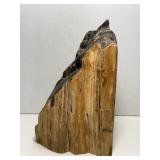 Stunning petrified wood specimen