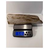 Gorgeous polished petrified wood