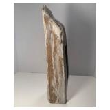 Gorgeous polished petrified wood