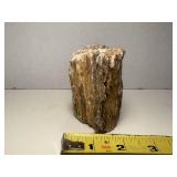 One Pound Unique Petrified Wood