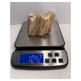 One Pound Unique Petrified Wood