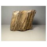 One Pound Unique Petrified Wood