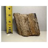 One Pound Unique Petrified Wood