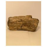 Subtle Colored Petrified Wood