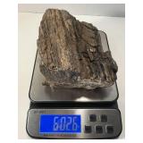 6 Pound Petrified Wood