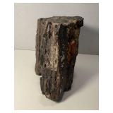 6 Pound Petrified Wood