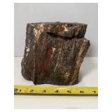 6 Pound Petrified Wood