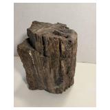 6 Pound Petrified Wood