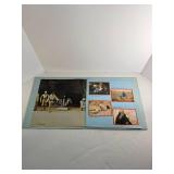 Three Star Wars Vinyl Records in protective sleeve