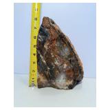 8 Pounds of Petrified Wood