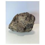 Rare stromatolite fossil