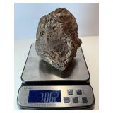 Rare stromatolite fossil