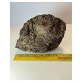 Rare stromatolite fossil