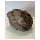 Rare stromatolite fossil